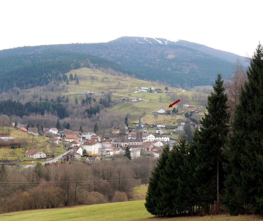 Les Hauts De Brochot Saint-Maurice-sur-Moselle Cameră foto